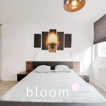 Apartament Plein Centre : 6 Voyageurs + Balneo Nancy